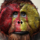 Illustration for article titled Life of the Apes Revealed in emDawn of the Planet of the Apes/em Concept Art